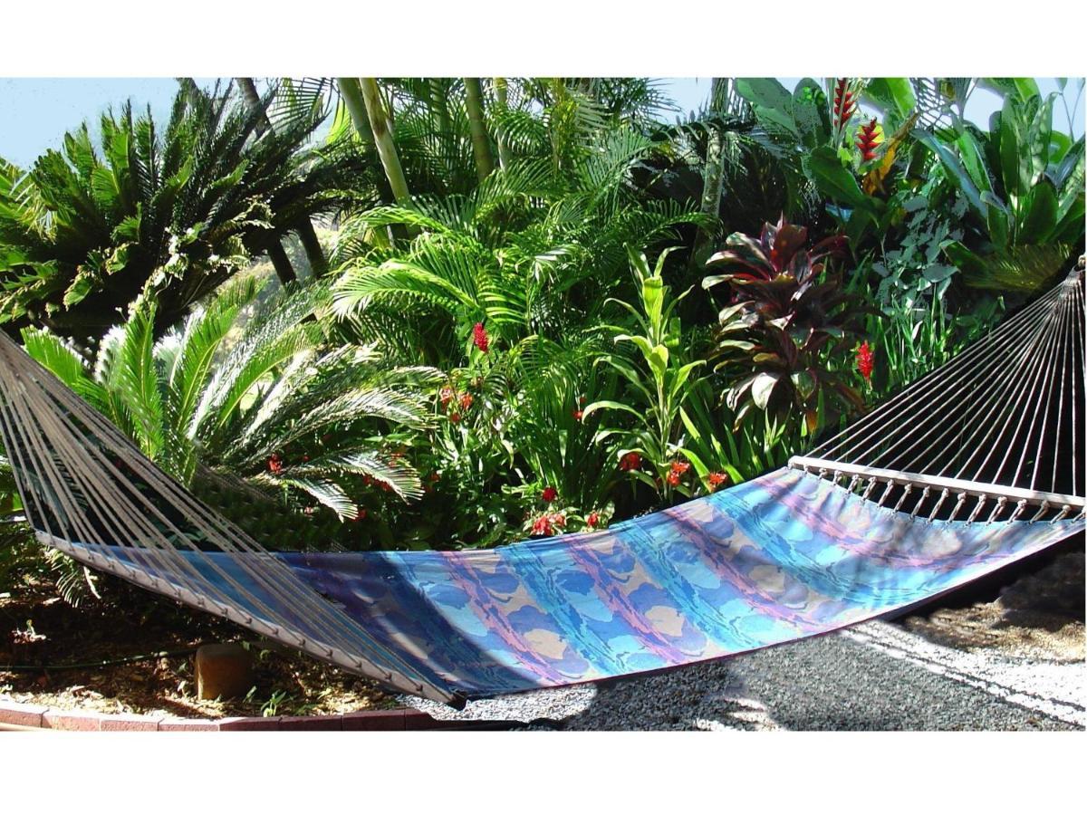 Adventure In Paradise Haiku Exterior photo